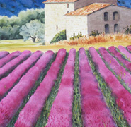 Helen Anne Hillson - French Lavender Field